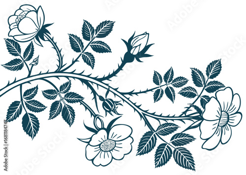 Elegant dark teal rose branch with leaves and thorns