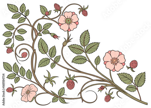 Art nouveau style illustration of wild roses and raspberries with leaves