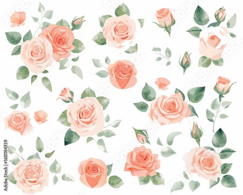 Delicate watercolor roses and buds in soft peach and pink hues scattered on a white background