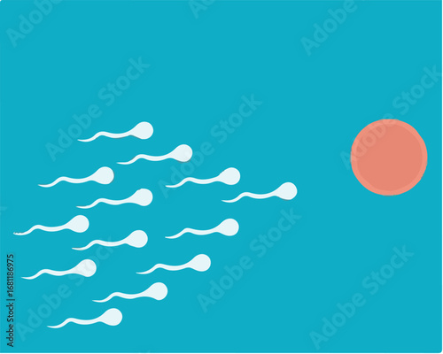 Race to Fertilization – Sperm Swimming Toward Egg Illustration