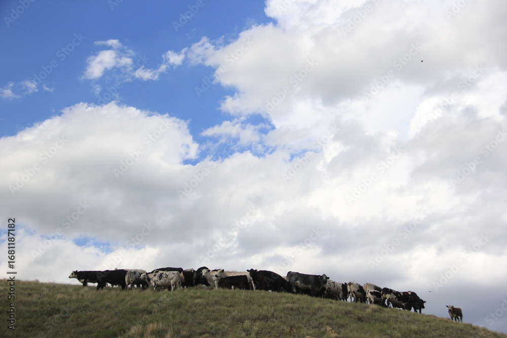 Obraz premium A Valley Tour between Craven SK and Fairy Hill.