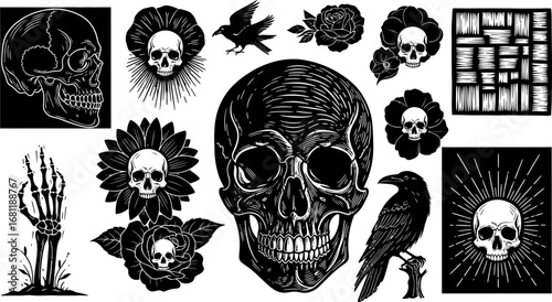 Black and White Skull and Raven Illustration Set