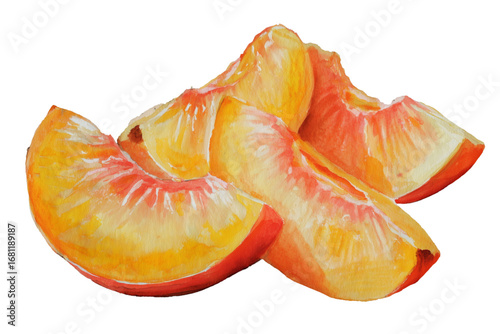 watercolor slice of tangerine