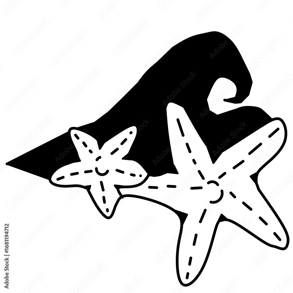 Fototapeta premium silhouette of a starfish