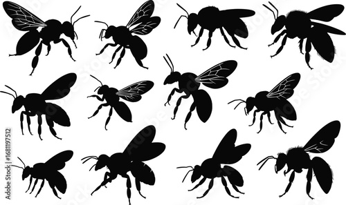 Bee silhouette collection, insect vector set, flying bees, black outline, nature icons, pollinator shapes, winged insect graphics, isolated illustrations