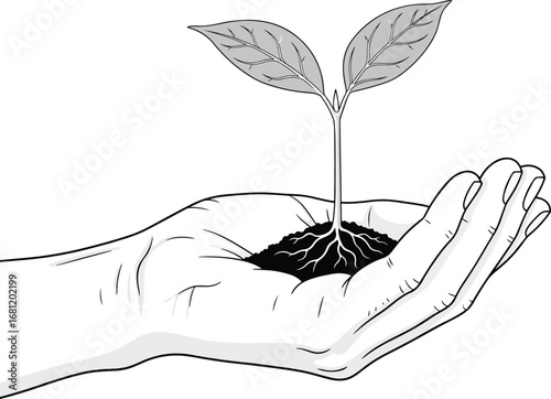Plant: A hand holding a small plant with roots in its palm, symbolizing growth, new life, and environmental care.