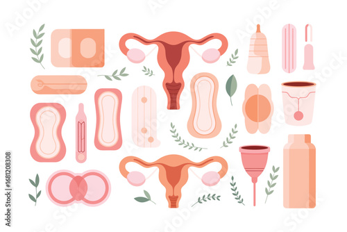 Female reproductive system and menstrual hygiene products collection