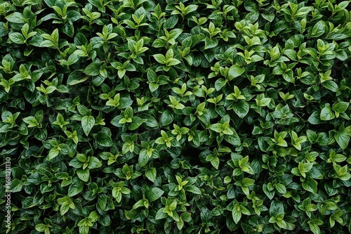 Wallpaper Mural Decorative vertical greenery featuring synthetic plants and flowers for a natural backdrop Torontodigital.ca