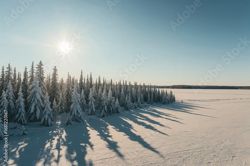 Wintertime Sunlight