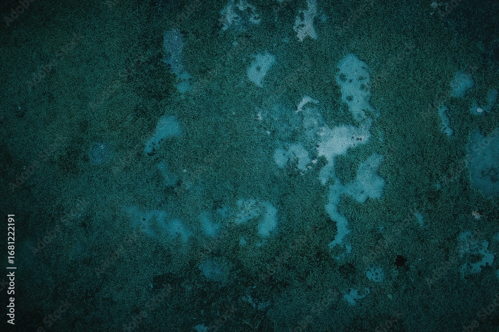 Obraz premium Ancient walls covered in moss with deep teal hues evoke a sense of tranquility and enigma, perfect for themes of natural beauty and city deterioration.