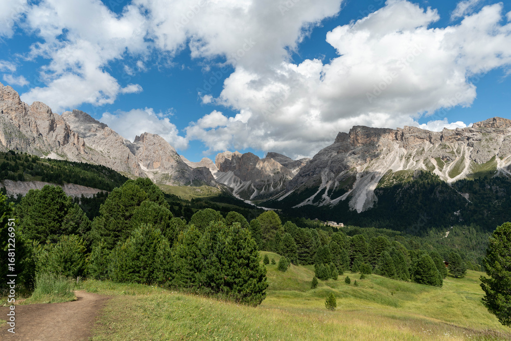 Obraz premium Beautiful Mountain Landscape with Green Meadows and Forest