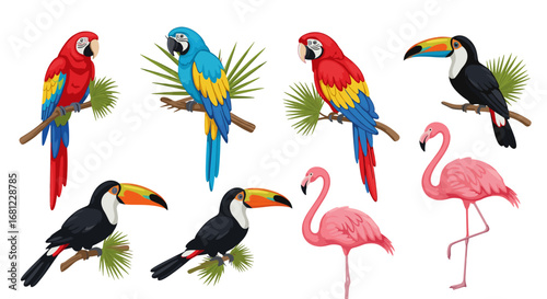 Illustration of colorful parrots toucans and flamingos perched on branches with leaves
