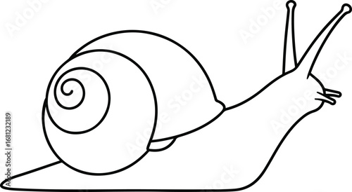 Snail: A simple and clean line art illustration of a snail with a spiral shell, in a minimalist cartoon style.