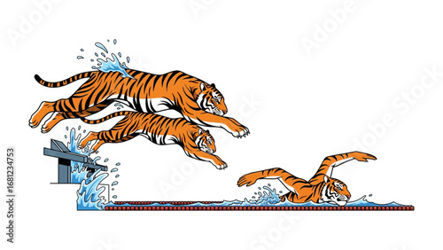 Tigers Diving and Swimming: Dynamic illustration of tigers in a thrilling display of sport, showcasing their athleticism as they dive into a pool and swim with a splash of water.