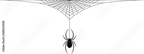 Spider web silhouette vector illustration halloween design