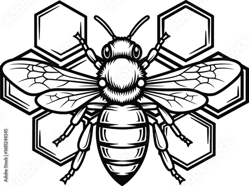 Bee: A highly detailed line art illustration of a bee with large wings, positioned in front of a honeycomb pattern, symbolizing nature and hard work.