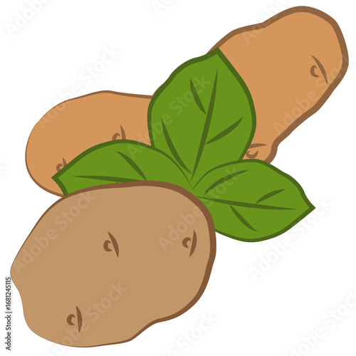 Illustration of potatoes with leaves. Suitable for projects related to agriculture and farm products.