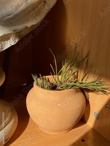 fresh herbs in a pot