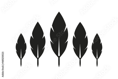 Five Black Bird Feathers in Ascending Size on White Background Quill, Pen Element