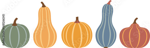 Colorful Pumpkins and Gourds Vector Illustration for Design