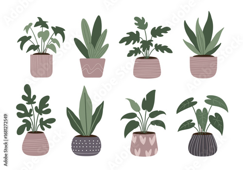 Decorative potted houseplants with unique planter designs for home and office decor
