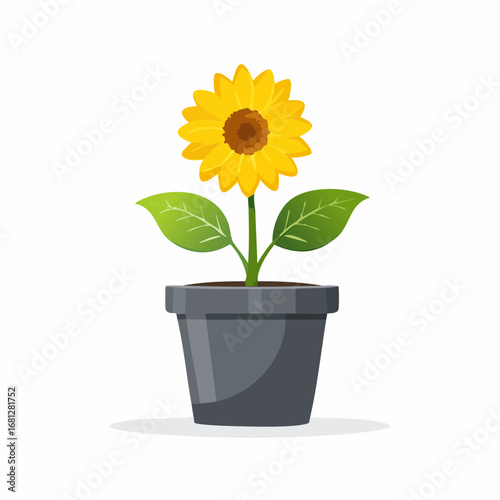 Gelbe Blume