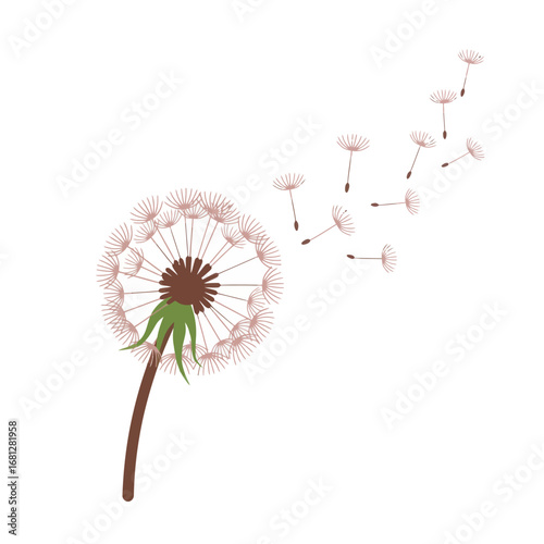 Dandelion Puff with Seeds Floating
