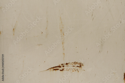 High-resolution image of a ...