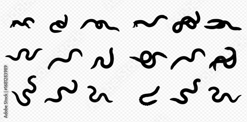 Collection of earthworm illustrations in various poses, isolated on a transparent background.