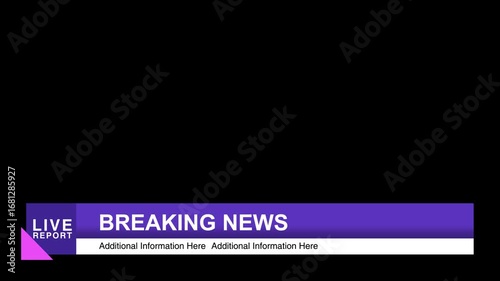 Elegant Professional Breaking News Lower Third