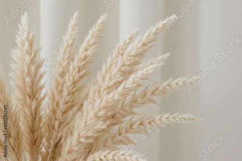Detailed view of a charming dry grass arrangement with bunny tails and Lagurus ovatus plant, set against a softly blurred beige curtain backdrop. Focused floral decor for interiors.