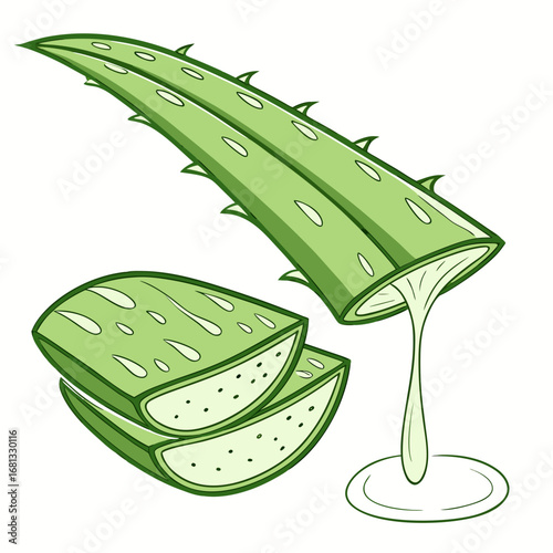 Freshly cut aloe vera plant showing gel dripping onto a puddle with slices