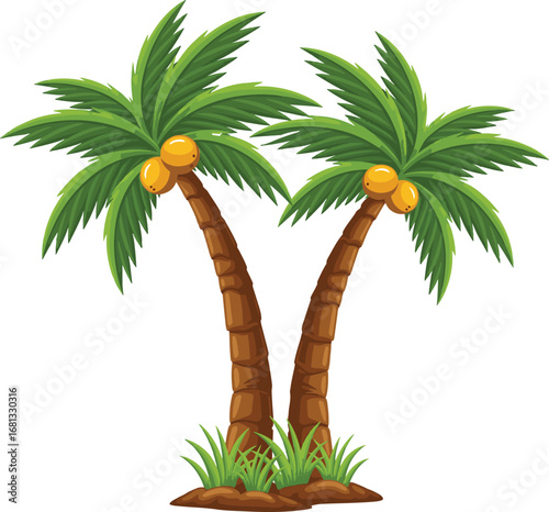 Two tropical palm trees bearing coconuts surrounded by lush green grass