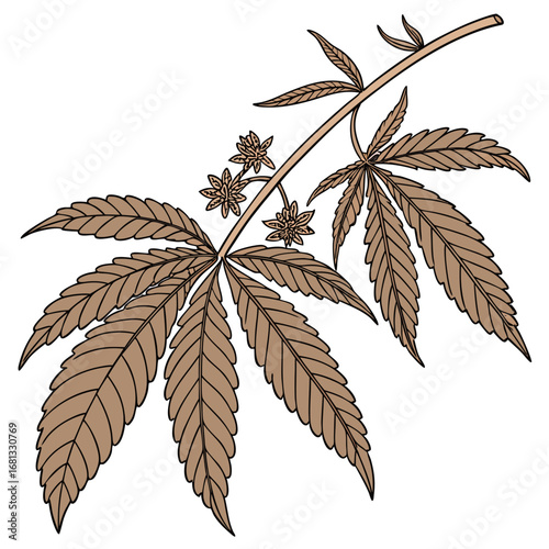 Stylized illustration of a cannabis plant branch with serrated leaves and small buds on a white background