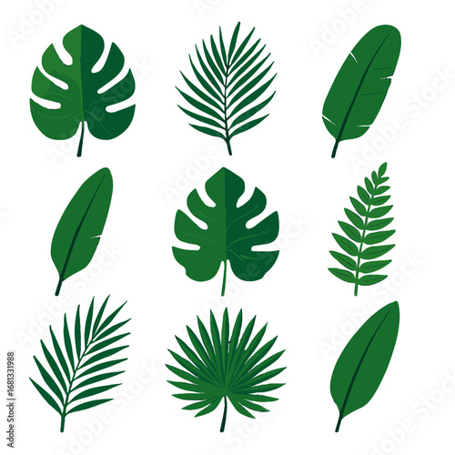 Paradise vector palm monstera tropical frond leaf leaves grid bird icon areca