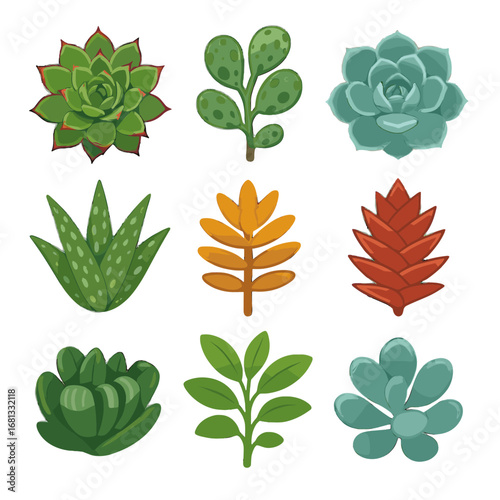Pinnata grid kalanchoe cooperi vector aloe truncata succulent sempervivum echeveria icon haworthia