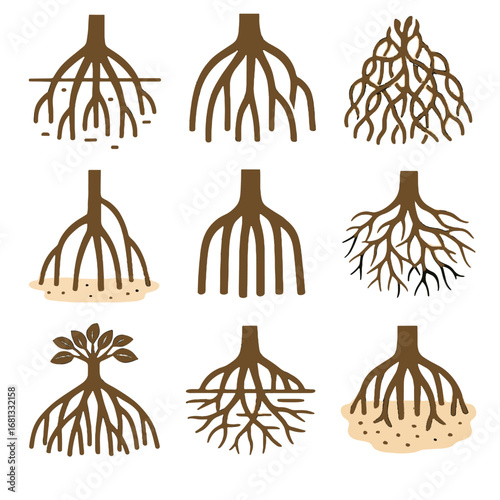 Fine base shallow roots web collection icon broad vector thick canopy mangrove