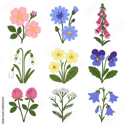 Wildflower icon blossoms clover rose grid snowdrop chicory stems vector flowers foxglove