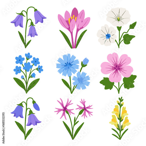 Grid wildflower wild blossoms icon bindweed flowers blooms harebell vector chicory stems