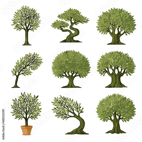 Leafy variety dense bushy coastal olive potted tree vector icon thick