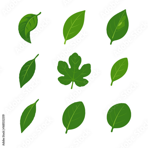 Leaves apple oval lemon vector glossy curled tree icon rounded fruit fig