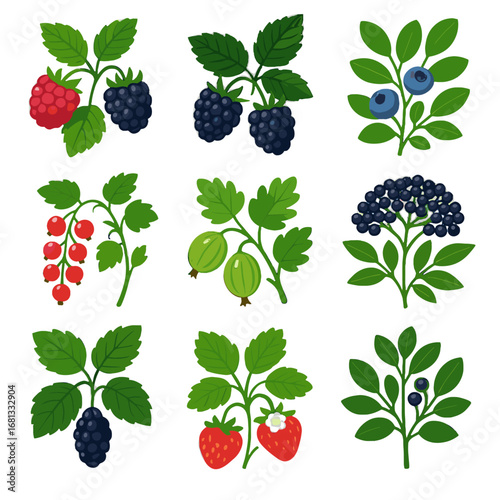 Berry blueberry chokeberry icon red gooseberry bush brambles vector juicy sprigs elderberry