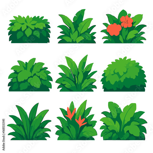 Exotic hedges tropical garden vector vibrant icon bushes foliage icons clumps flowering