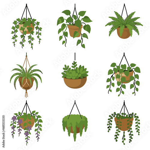 Planters baskets moss hanging fern vine flowering icon leafy plants vector