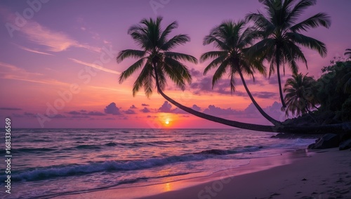 Sunset vista with tropical palms and calm waters