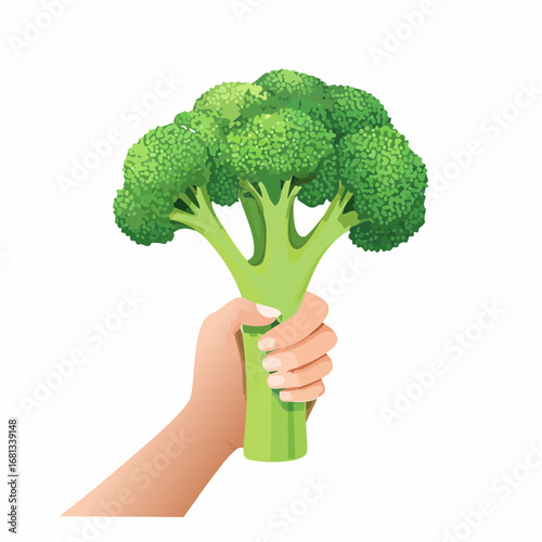 Hand Holding Fresh Green Broccoli