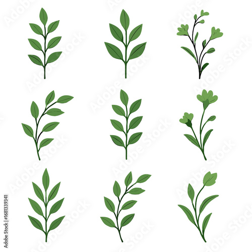 Leafy botanical vector icon stems upward plant tall delicate green stem