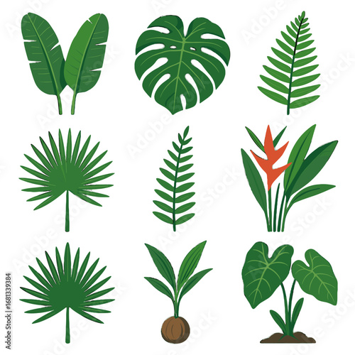 Heart broad betel seedlings icon jungle vegetation vector leaves giant palm sword
