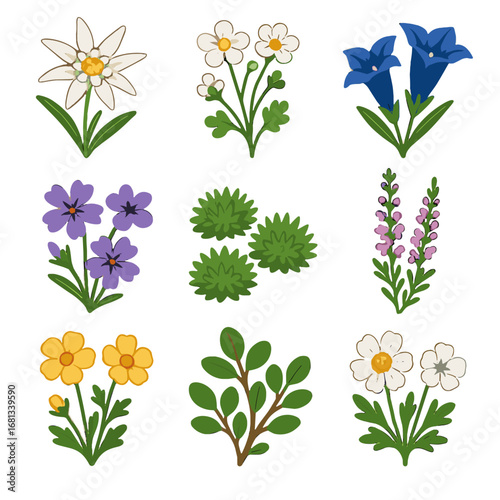 Sprigs flora vector mountain phlox avens collection alpine flowers blooms buttercup icon