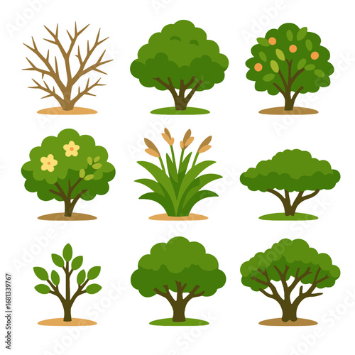 Icon young woody bush dry savanna flowering old seeding vector rainy
